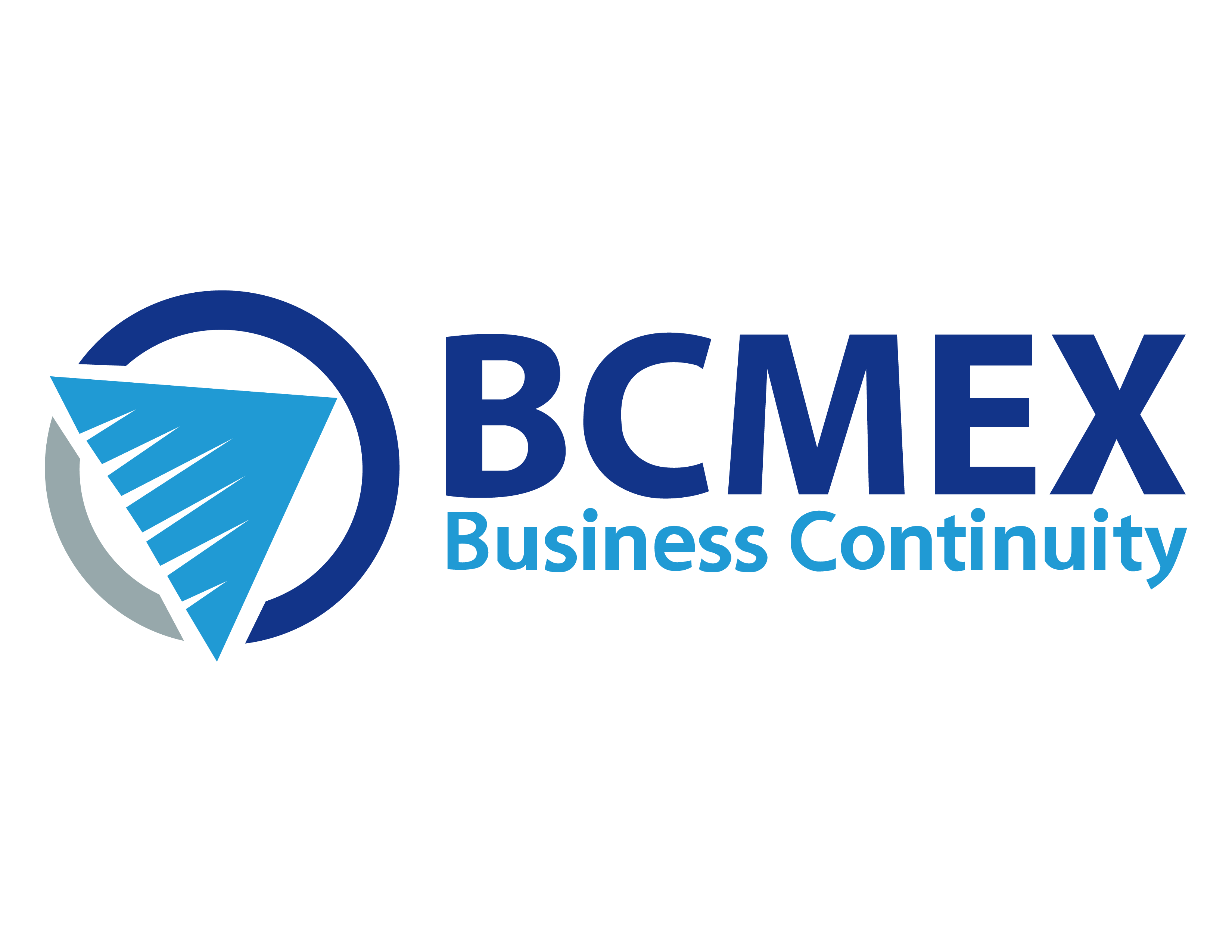 Logo BCMEX